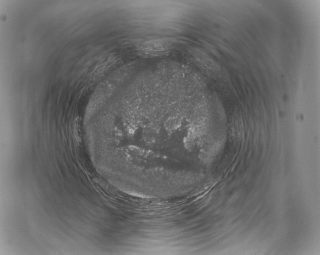 X0000069361346200606021443