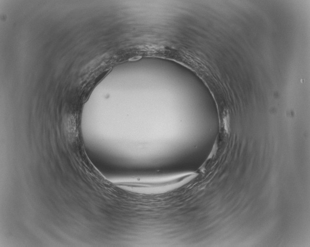 X0000069361347200606021443