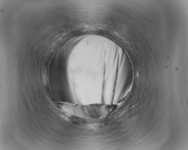 X0000069361348200606021443