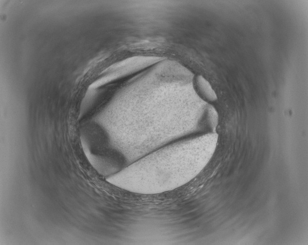 X0000069361350200606021443