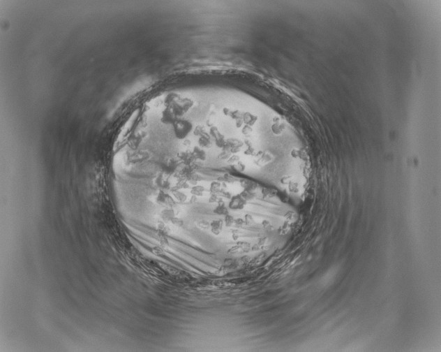 X0000069361351200606021443