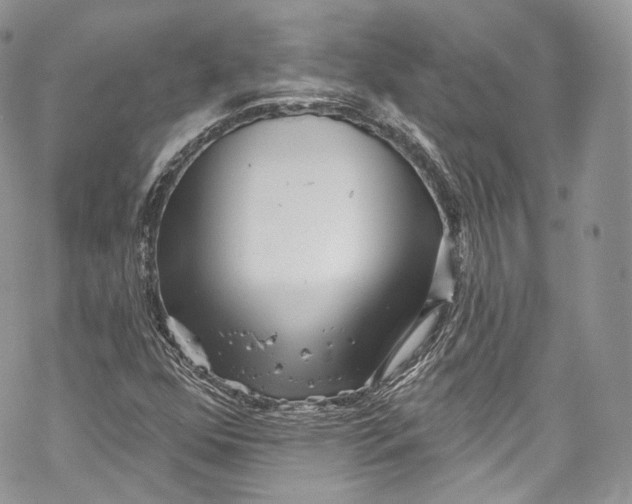 X0000069361352200606021443