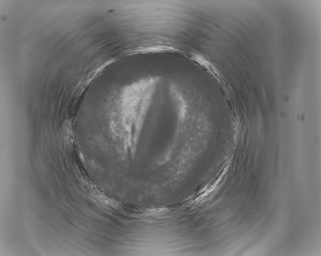 X0000069361353200606021443