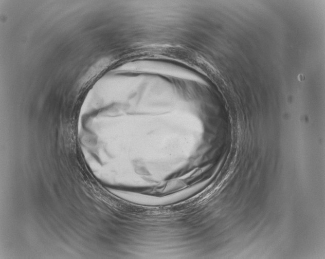 X0000069361354200606021443