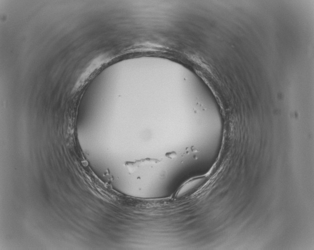 X0000069361355200606021443