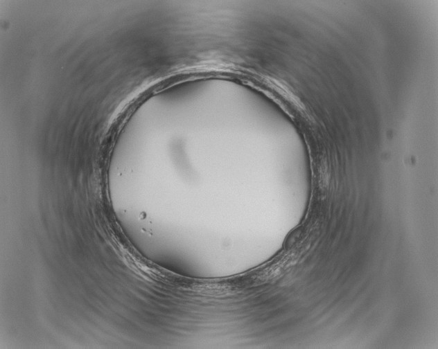 X0000069361356200606021442