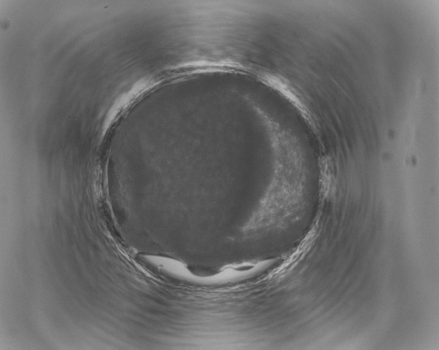 X0000069361357200606021442