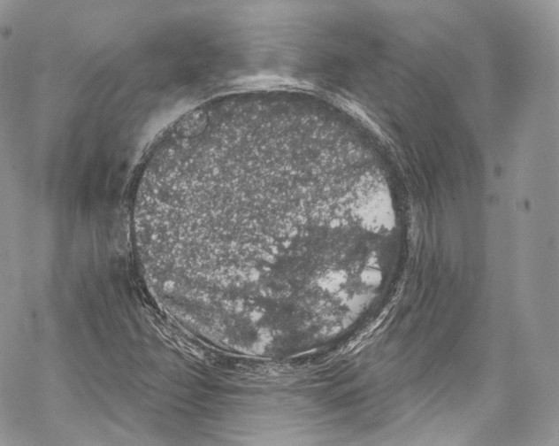 X0000069361358200606021442