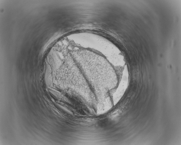 X0000069361359200606021442