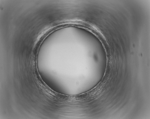 X0000069361360200606021442