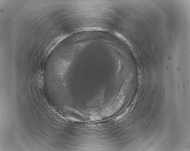 X0000069361361200606021442