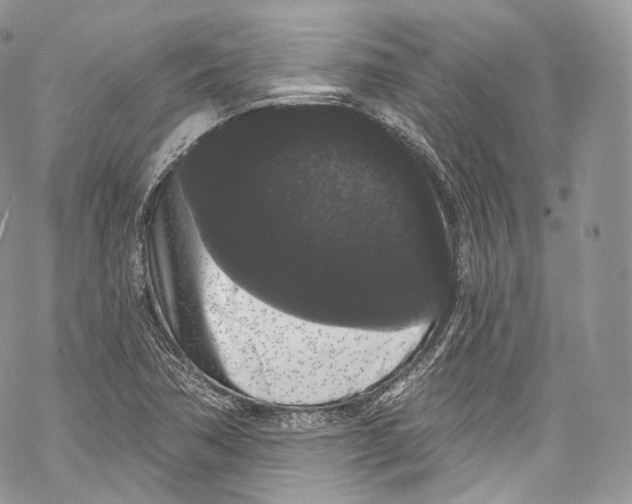 X0000069361362200606021442