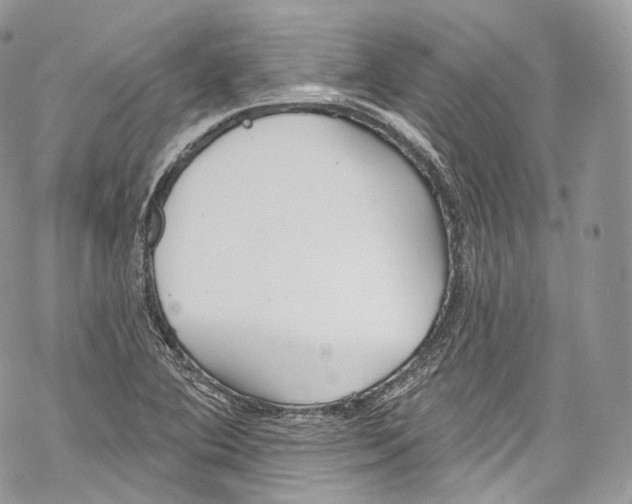 X0000069361364200606021442