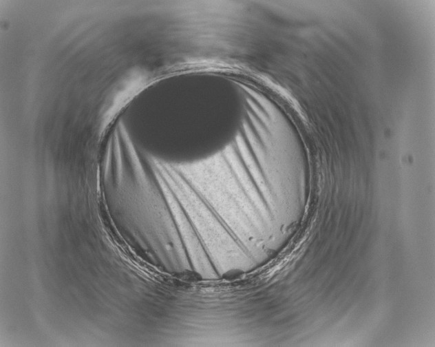 X0000069361365200606021442