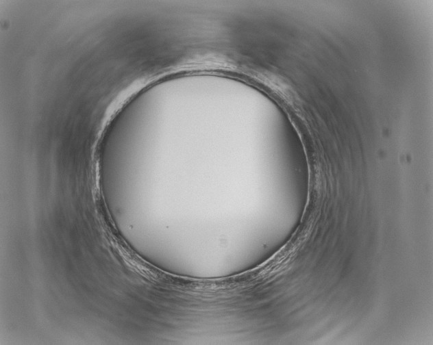 X0000069361366200606021442