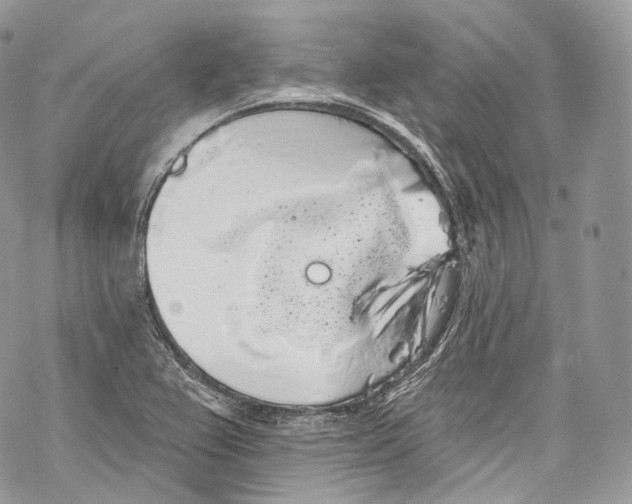 X0000069361367200606021442