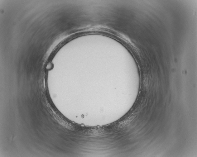 X0000069361368200606021442