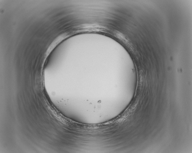 X0000069361370200606021442