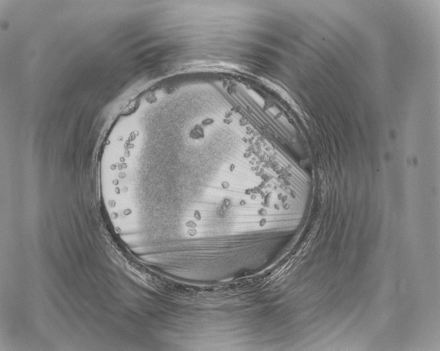 X0000069361371200606021442