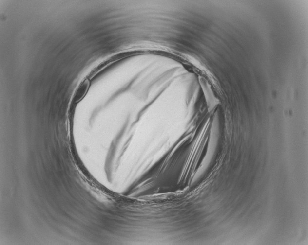 X0000069361372200606021442