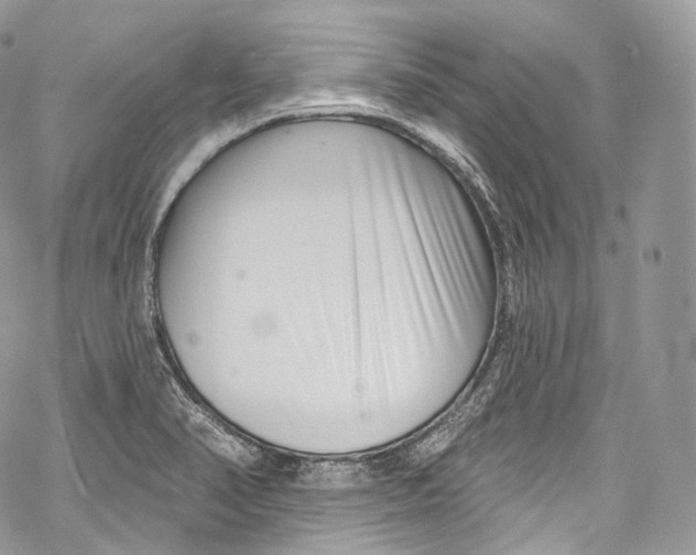 X0000069361374200606021442