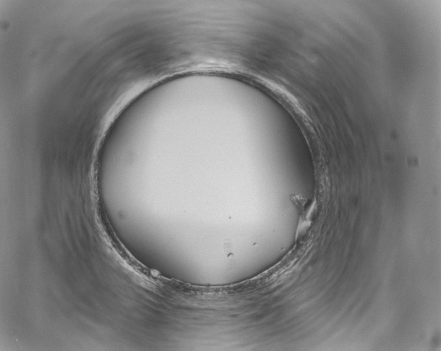 X0000069361375200606021442