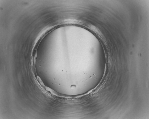 X0000069361376200606021442