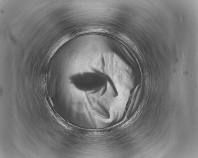 X0000069361377200606021442