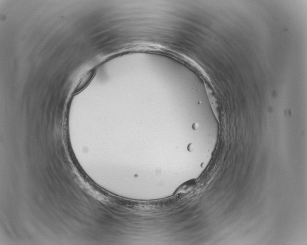 X0000069361379200606021442