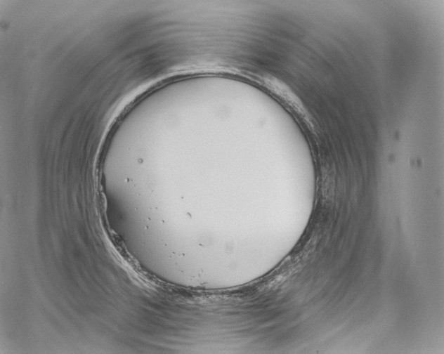 X0000069361380200606021442