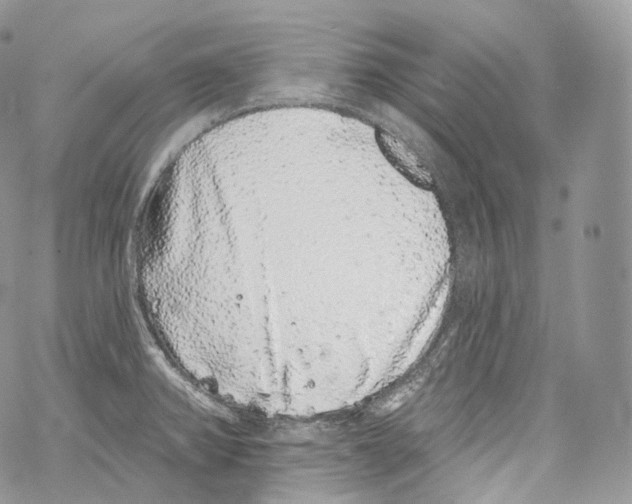 X0000069361382200606021442