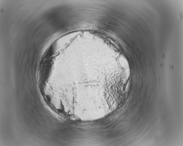 X0000069361383200606021442