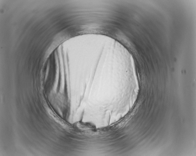 X0000069361386200606021442