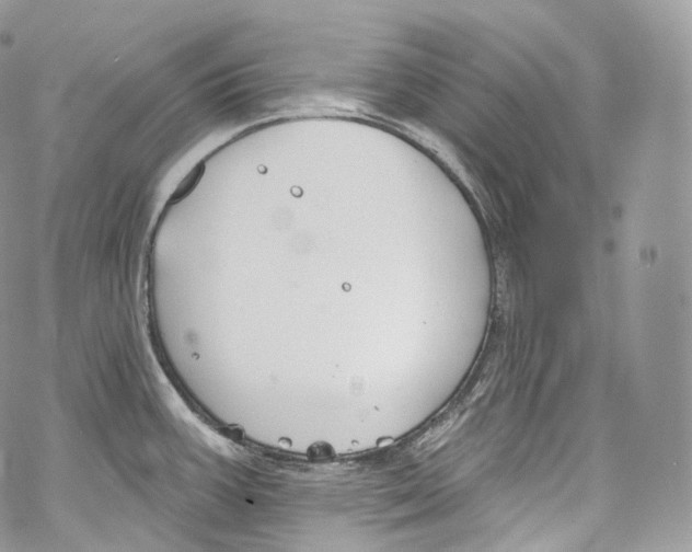 X0000069361387200606021442