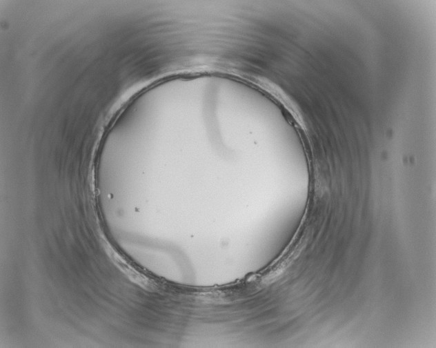 X0000069361388200606021442