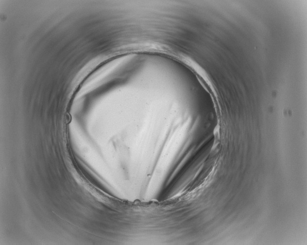 X0000069361389200606021442