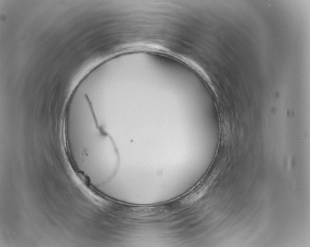 X0000069361391200606021442