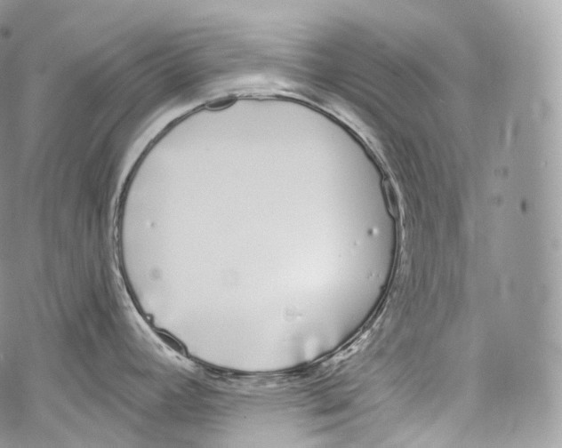 X0000069361392200606021442