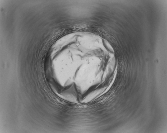 X0000069361393200606021441