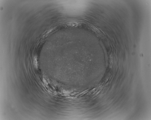 X0000069361394200606021441