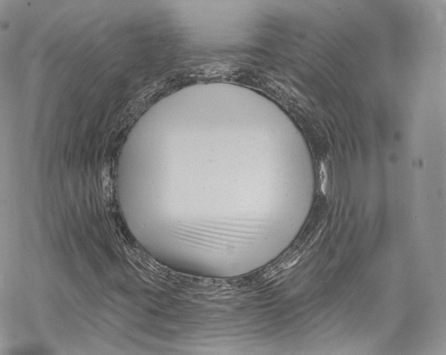 X0000069361395200606021441