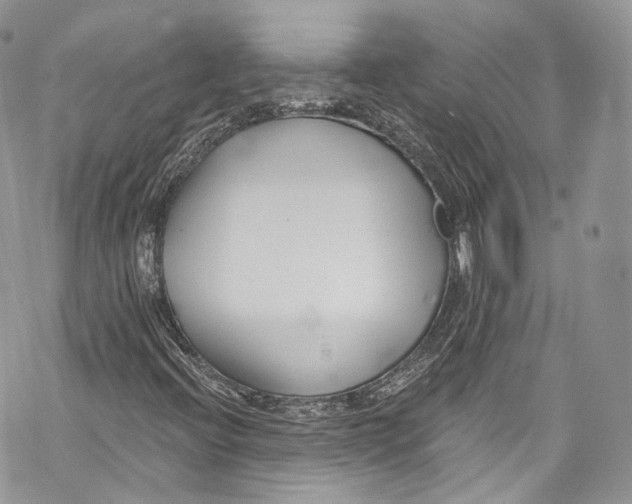 X0000069361396200606021441