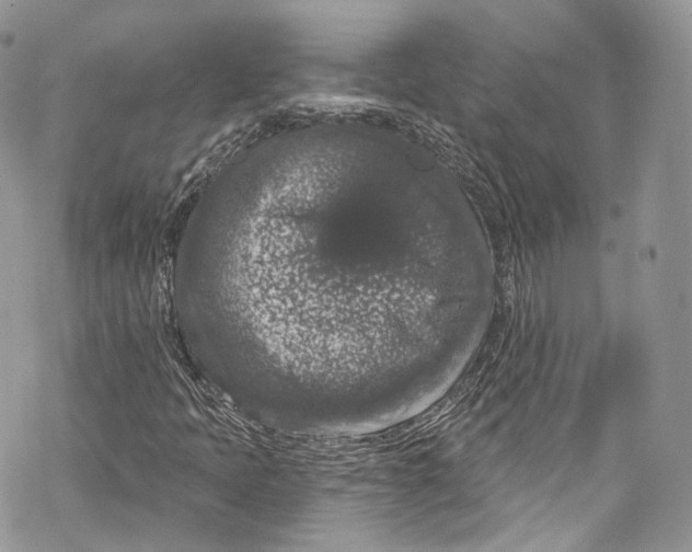 X0000069361397200606021441