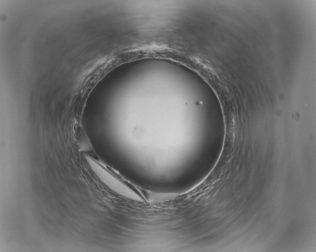 X0000069361398200606021441