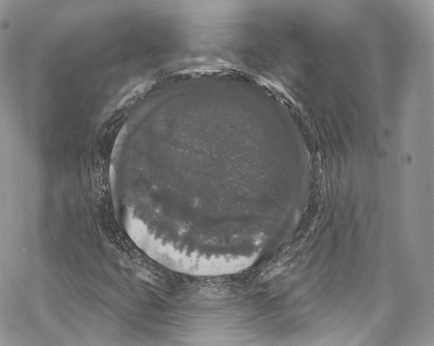 X0000069361399200606021441