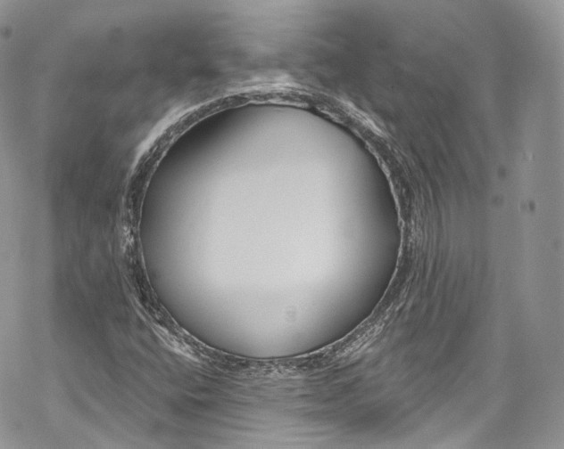 X0000069361400200606021441