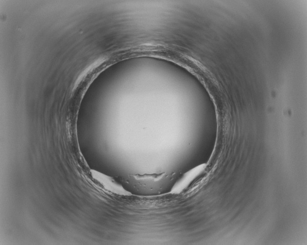 X0000069361402200606021441