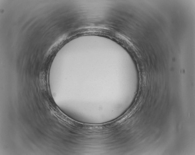 X0000069361403200606021441