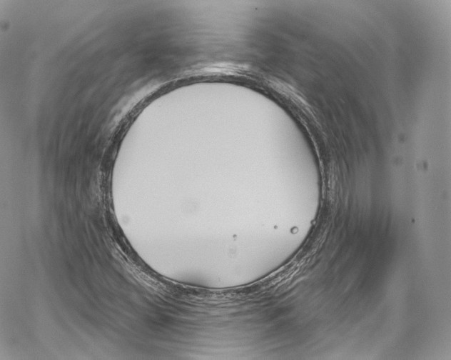 X0000069361404200606021441