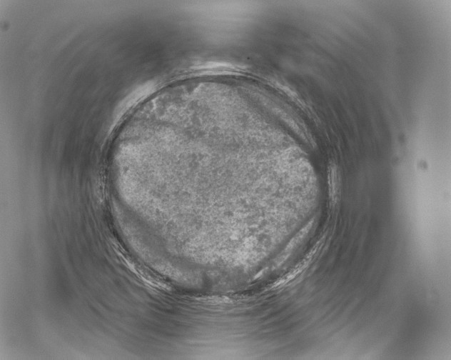 X0000069361405200606021441